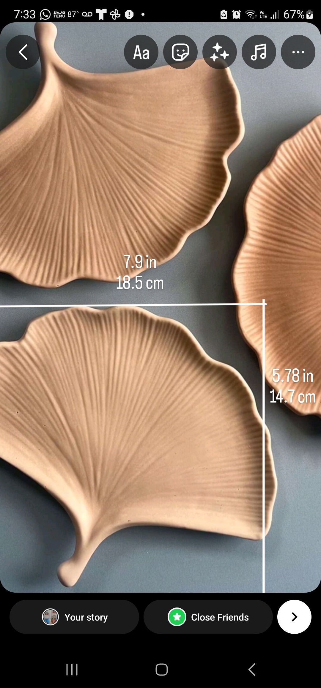 Ginkgo Leaf