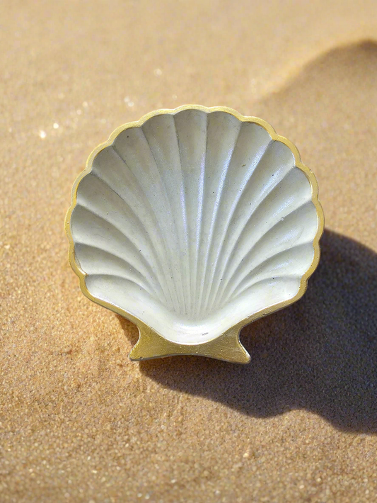 Shell/Caracol Tray