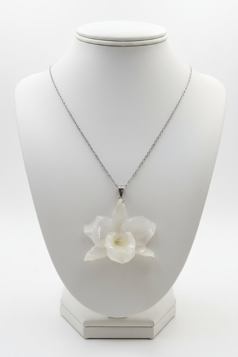 Orquídea translúcida