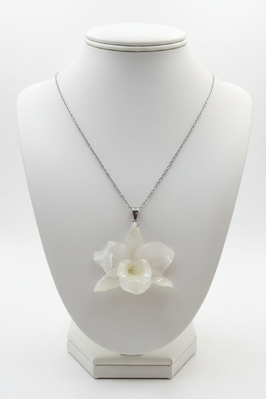 Orquídea translúcida